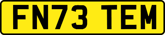 FN73TEM