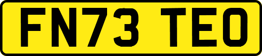 FN73TEO