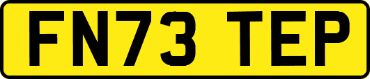 FN73TEP