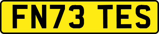 FN73TES
