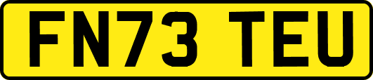FN73TEU