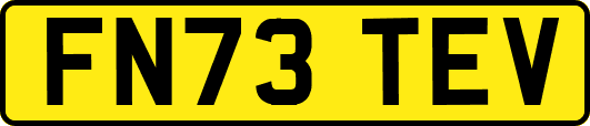 FN73TEV