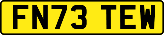 FN73TEW