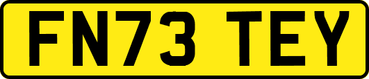 FN73TEY