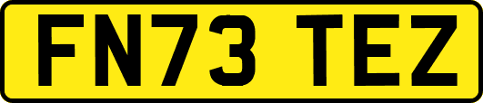 FN73TEZ