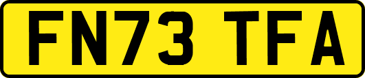 FN73TFA