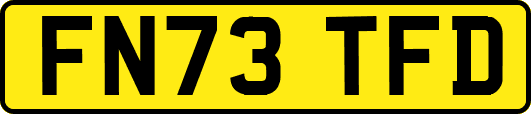 FN73TFD
