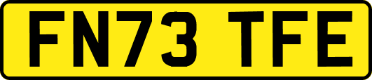 FN73TFE