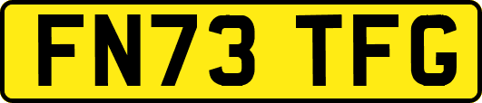 FN73TFG