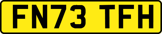 FN73TFH