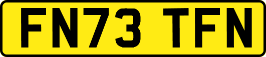 FN73TFN