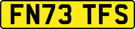 FN73TFS