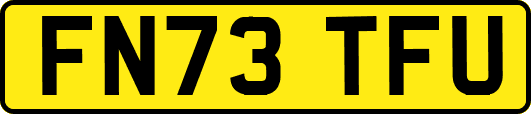 FN73TFU