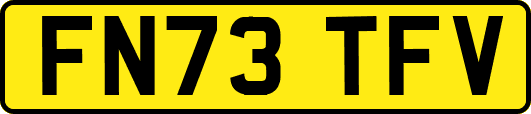 FN73TFV