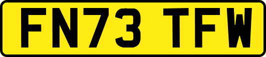 FN73TFW