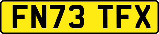 FN73TFX