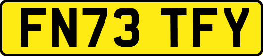 FN73TFY