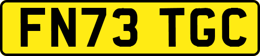 FN73TGC