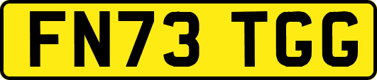 FN73TGG