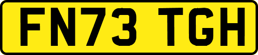 FN73TGH