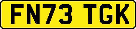 FN73TGK