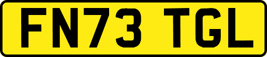 FN73TGL