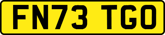 FN73TGO
