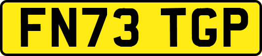 FN73TGP