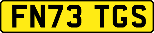 FN73TGS