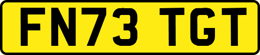 FN73TGT