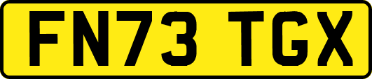 FN73TGX