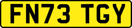 FN73TGY
