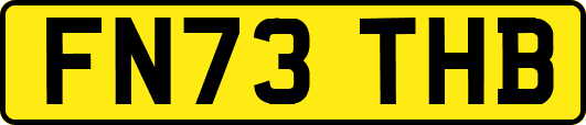 FN73THB