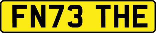 FN73THE