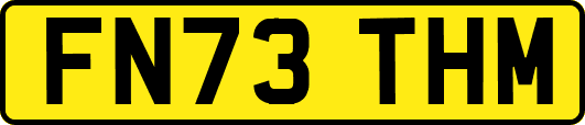 FN73THM