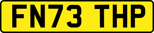 FN73THP
