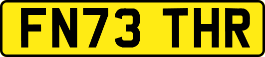FN73THR
