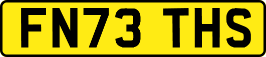 FN73THS