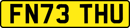 FN73THU