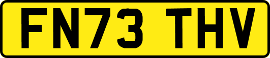 FN73THV