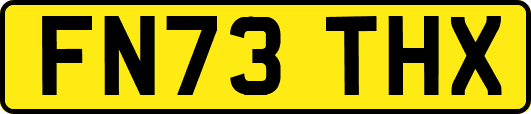 FN73THX