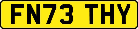 FN73THY
