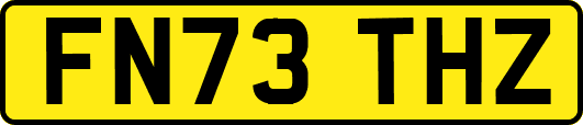 FN73THZ