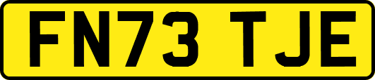 FN73TJE