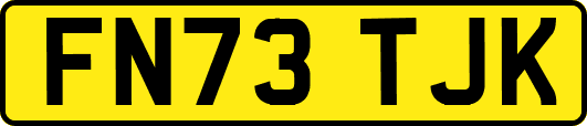 FN73TJK