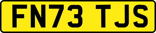 FN73TJS