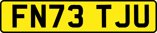 FN73TJU