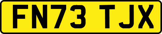 FN73TJX