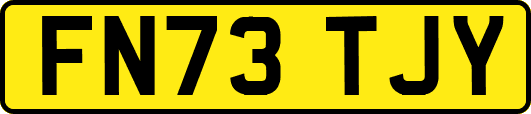 FN73TJY