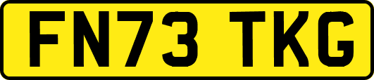 FN73TKG